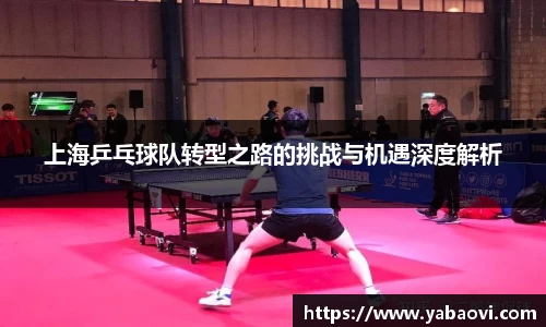 上海乒乓球队转型之路的挑战与机遇深度解析