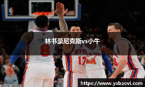 林书豪尼克斯vs小牛