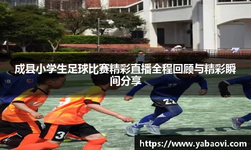 成县小学生足球比赛精彩直播全程回顾与精彩瞬间分享